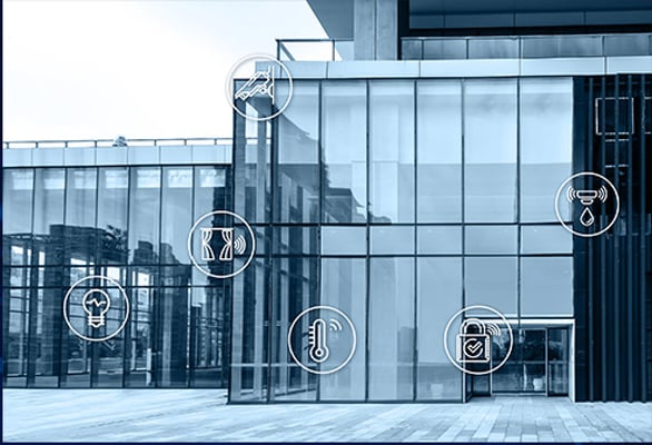 Decoding Lorem Ipsum: The Language of Designers